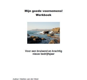 Goede voornemens werkboek